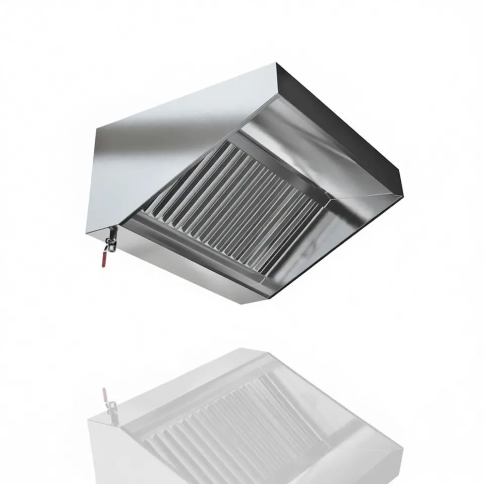 Wall-mounted exhaust hood